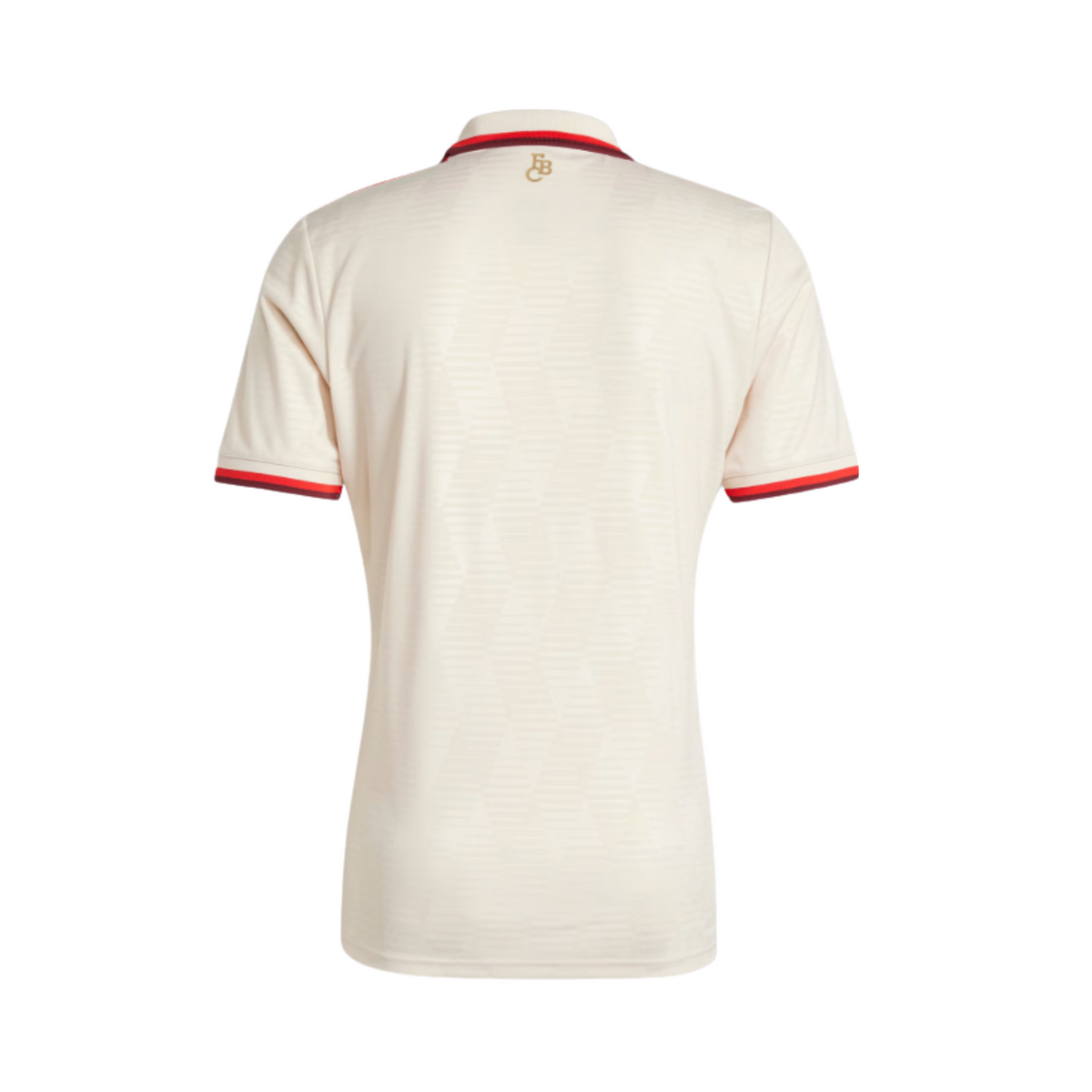 Bayern Munich Third 24/25 - Back view