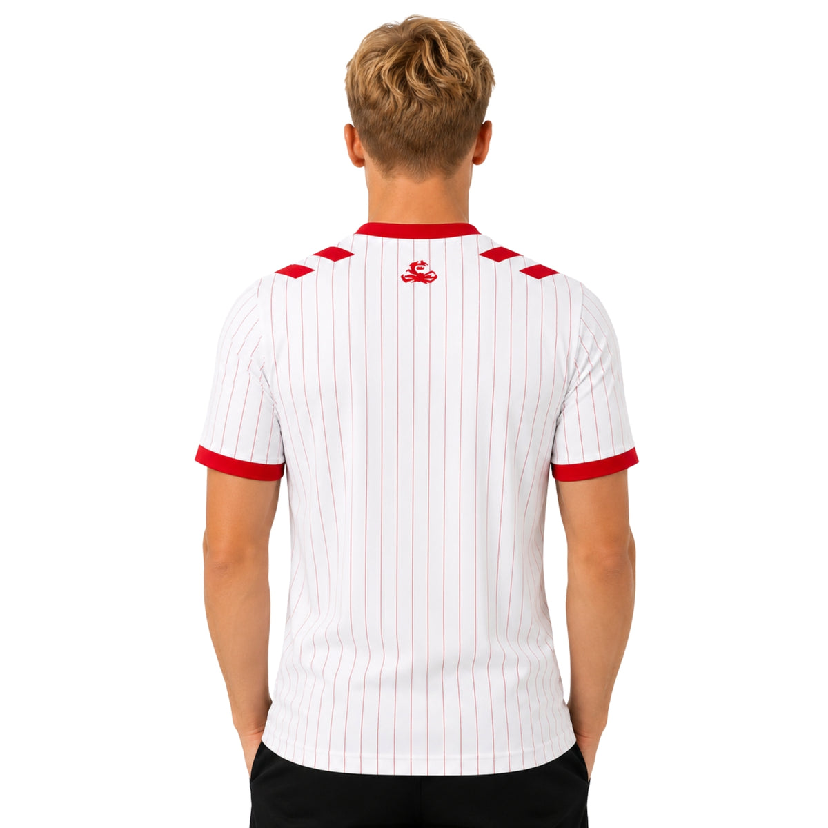 Danemark Extérieur 26/27 - Coupe du Monde 2026 - Version Joueur