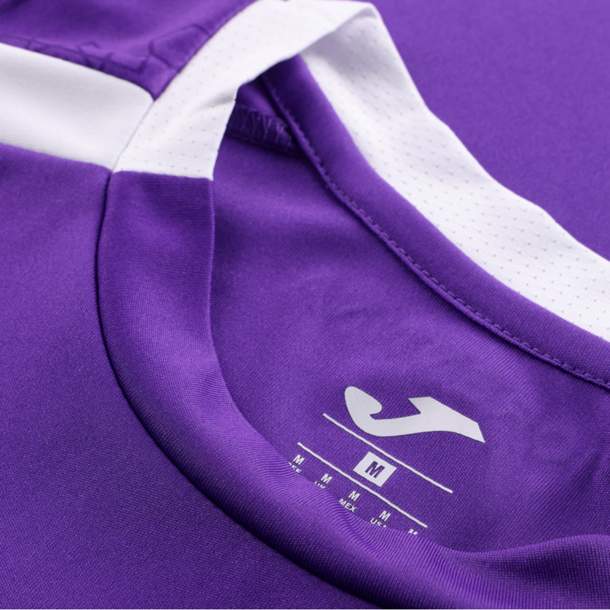 Fiorentina Gardiens de But 26/27
