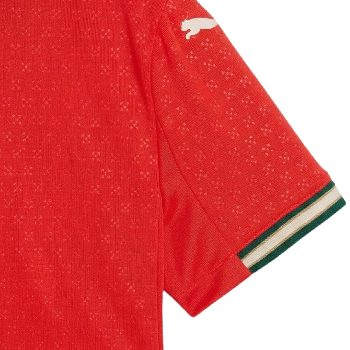 Portugal - Kit Domicile 25/26 - Ligue des Nations 2025 — détail 5